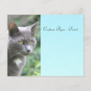 Recherche de bleus prospectus Administrative professional