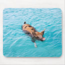 Recherche de nageuse tapis souris Baignade
