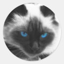 Recherche de familiers autocollants Amoureux des chats