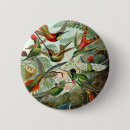 Recherche de oiseau vintage badges Colibri