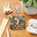 Recherche de martin pêcheur porteclés Kookaburra
