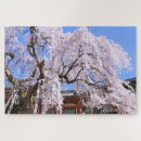 Recherche de cerisier puzzles Fleur