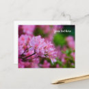Recherche de rhododendron rose Fleurs de printemps