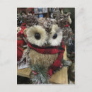 Recherche de cônes de pin cartes postales Hiver