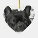 Recherche de bouledogue francais ornements Canin