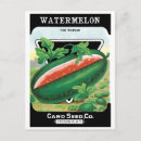 Recherche de fruit vintage cartes postales Rétro