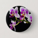 Recherche de macro de fleur accessoires Floraison