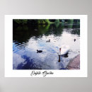 Recherche de étang de canard art Nature