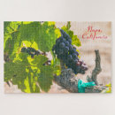 Recherche de napa valley Travel