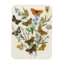 Recherche de illustration de papillon magnets Nature