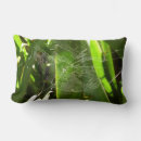 Recherche de arachnide coussins Toile