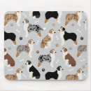 Recherche de berger australien tapis souris Mignon