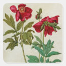 Recherche de durer autocollants Rouge
