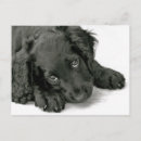 Recherche de marcheur cartes postales Mignon
