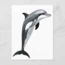Recherche de dessin de dauphin cartes postales Illustration