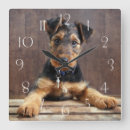 Recherche de terrier horloges Animals