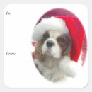 Recherche de cavalier autocollants Blenheim