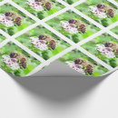 Zoek naar klaver cadeaupapier Roze