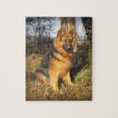 Recherche de alsacien puzzles Toute personne