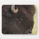 Recherche de bison tapis souris Animaux