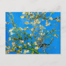 Recherche de amandier cartes postales Nature