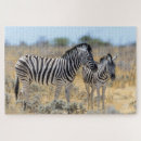 Zoek naar zebra puzzels Safari