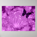 Recherche de ailes posters Nature