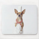 Recherche de chiwawa tapis souris Petit