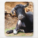 Recherche de chèvre drôle tapis souris Chèvres
