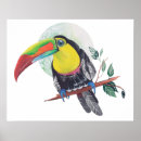 Recherche de peinture de perroquet posters Exotique