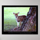 Recherche de bambi posters Animaux