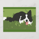 Zoek naar collie briefkaarten Collie aan de rand