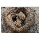 Recherche de tronc planches à découper Forêt