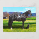 Recherche de richards cartes postales Nature