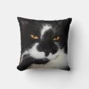 Recherche de whisky coussins Félin