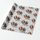 Recherche de basset papier cadeau Hound