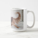 Recherche de chien cavalier tasses Mignon