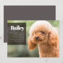 Recherche de nous nous marions invitations Moderne