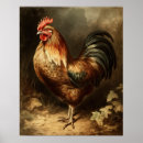 Recherche de illustration de coq posters Pour tous