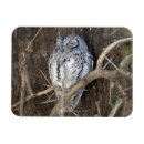 Recherche de parc national de kruger magnets Horizontal