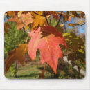 Recherche de nature mousepads Administrative professional