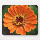 Recherche de pétales tapis souris Orange