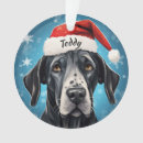 Recherche de dannée ornements Grand dane noël