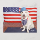 Zoek naar patriotic briefkaarten Usa