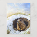 Recherche de marmottes cartes postales Mignon