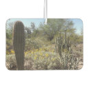Recherche de cactus intérieur voiture accessoires Désert