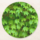 Recherche de lierre dessous de verres Feuille