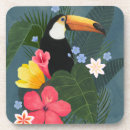 Recherche de toucan dessous de verres Oiseaux tropicaux