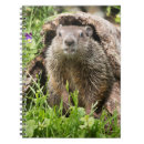 Recherche de tronc de carnets Nature
