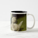 Recherche de chat persan blanc Chats
